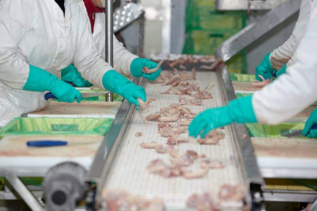 Poultry Meat Examination Skills (PMES) Polynew Training Services